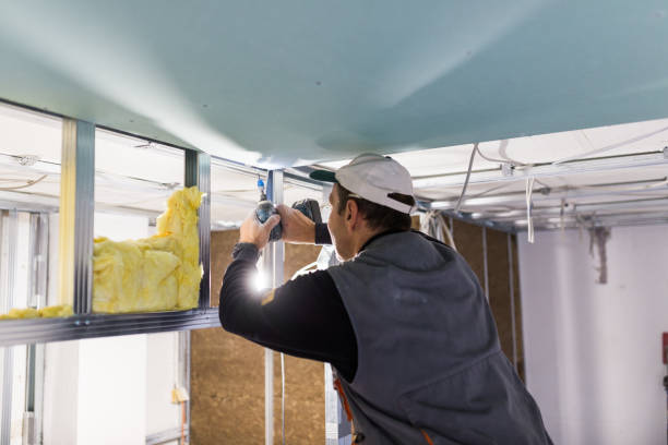 Best Crawl Space Insulation  in China Grove, NC