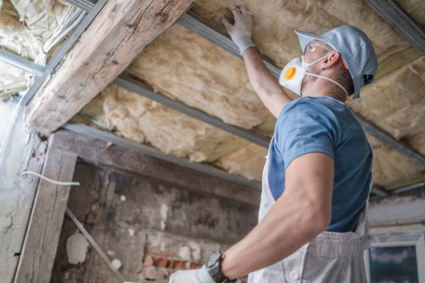 Best Attic Insulation Installation  in China Grove, NC