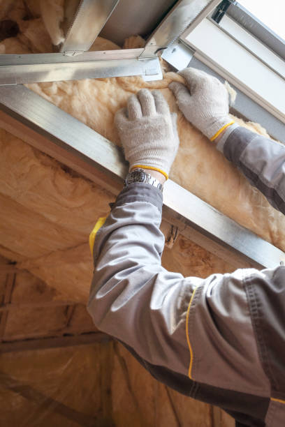Best Insulation Repair Services  in China Grove, NC