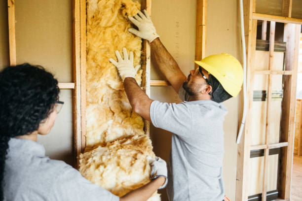 Best Energy-efficient Insulation  in China Grove, NC