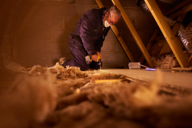 Best Insulation Repair Services  in China Grove, NC